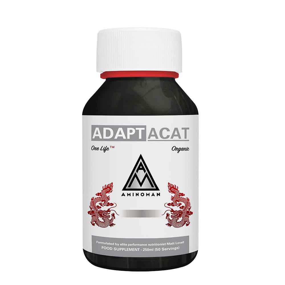 The Power of Adaptogens
